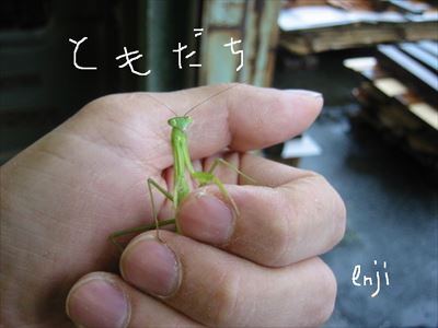 d0165772_20101268.jpg