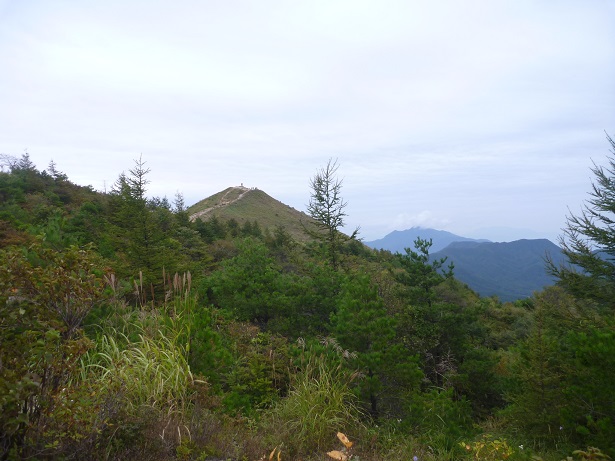 e0161972_1075384.jpg
