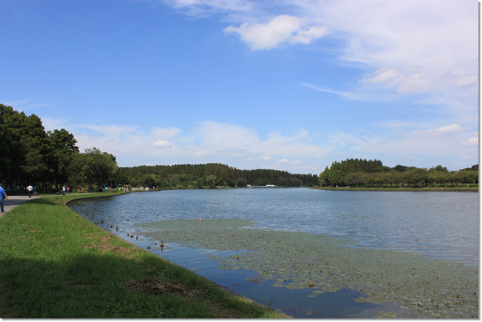e0330372_6321210.jpg