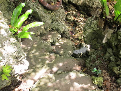 f0195172_23544115.jpg