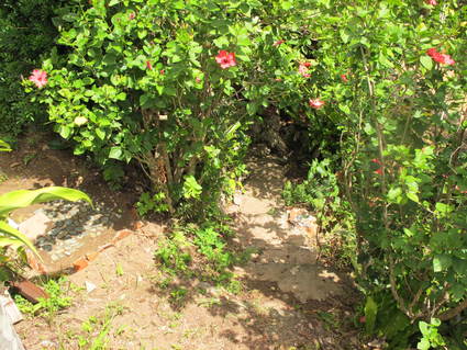 f0195172_951388.jpg