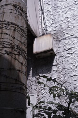 c0108673_21383088.jpg