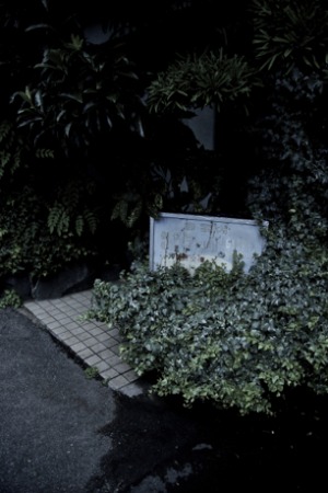 c0108673_2139151.jpg