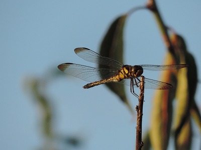 a0193175_19255.jpg