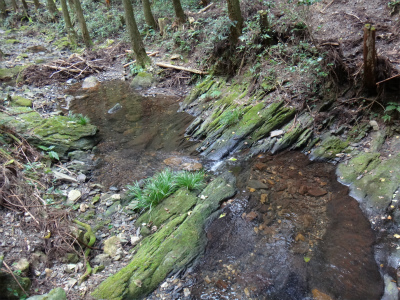 有明山と洲藻白嶽（長崎県対馬市）_d0182075_413239.jpg