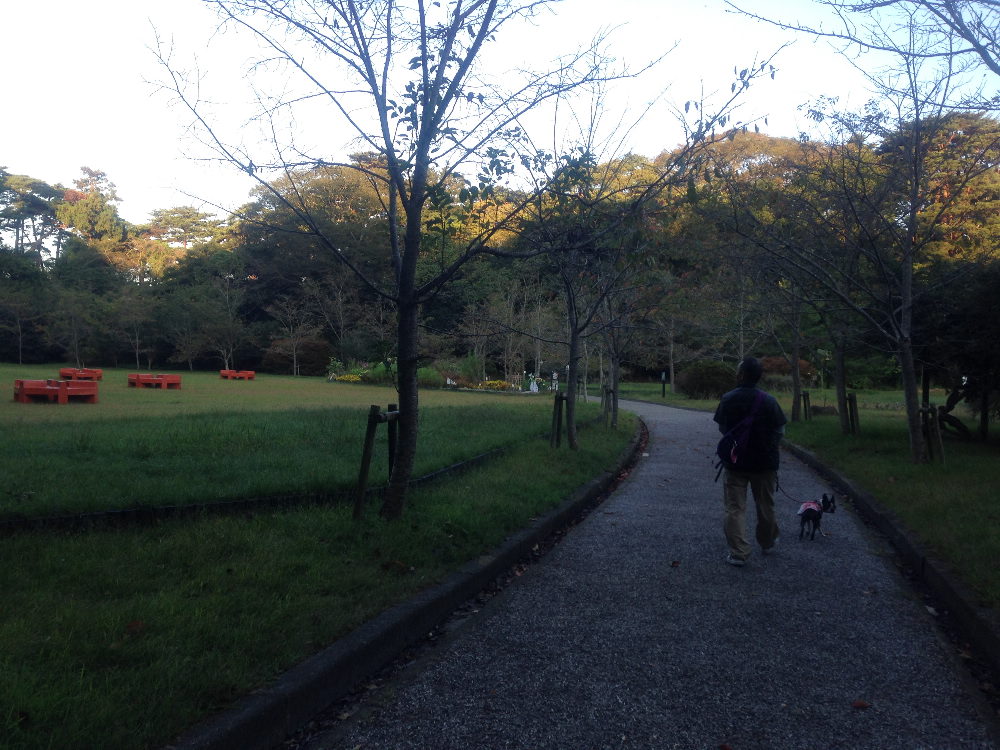 松島の朝のお散歩_b0184877_2211456.jpg