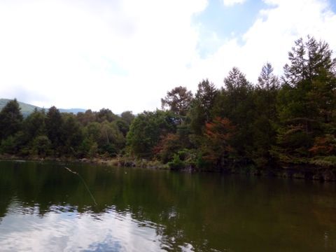 b0343681_20371483.jpg