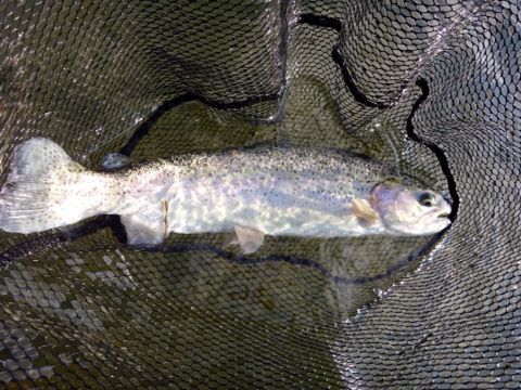 b0343681_20372914.jpg
