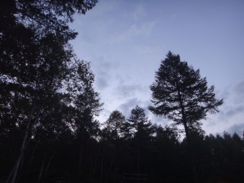 b0343681_20373421.jpg