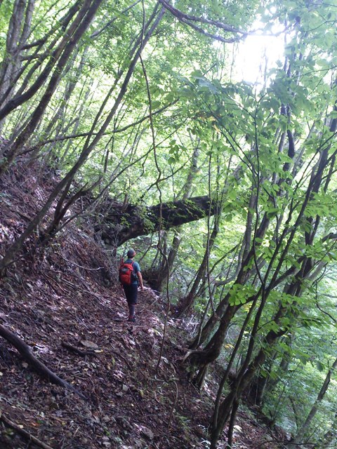 遭難者発見_c0157482_17435643.jpg