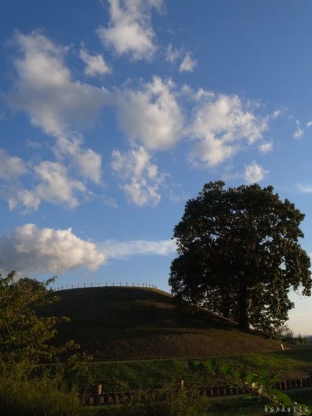 c0152690_2254100.jpg