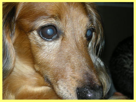 d0282395_22493243.png