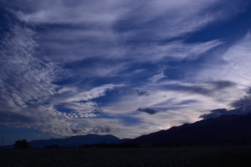b0177596_8451776.jpg