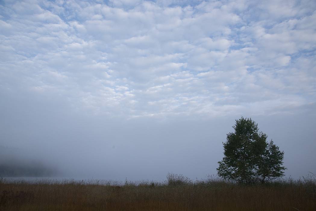 b0074098_23422098.jpg