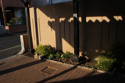 b0151504_7191249.jpg