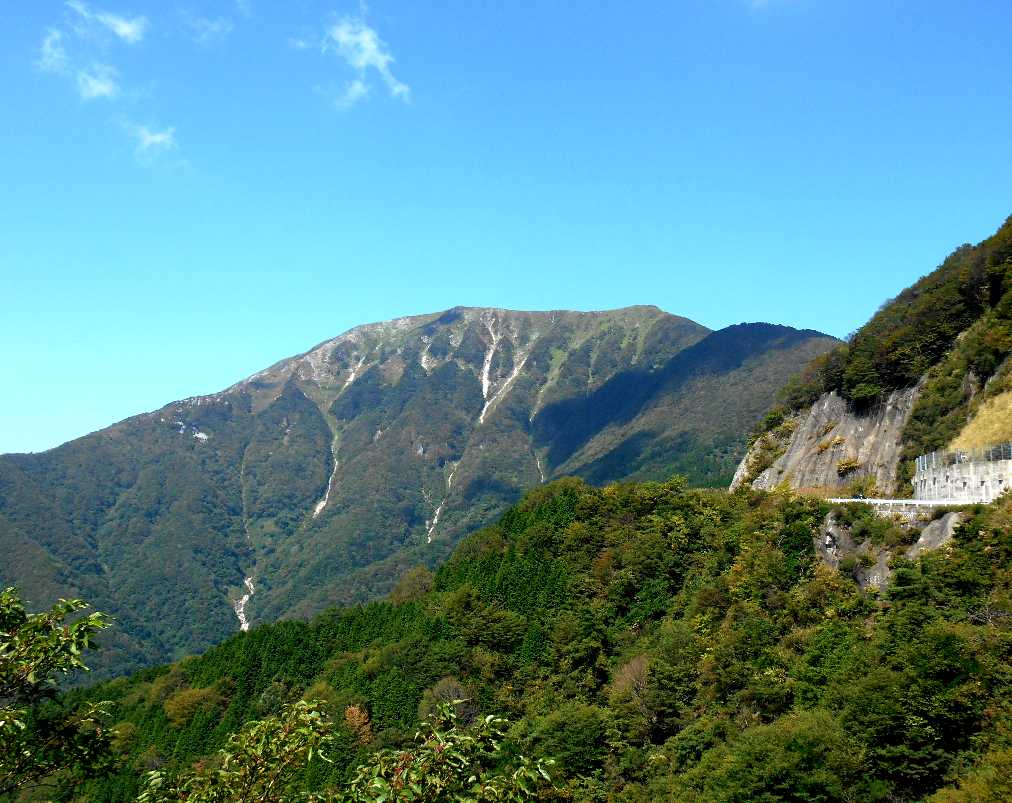 d0140806_991834.jpg