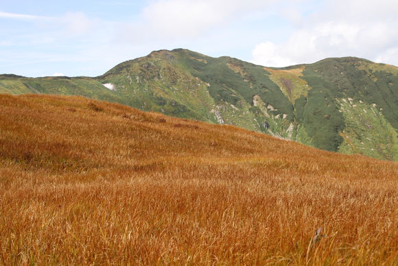 d0227310_2347211.jpg