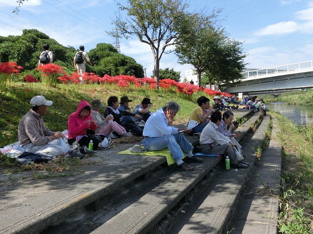 「お彼岸」に必ず咲く「彼岸花」は本当に偉い！　「のんびり彼岸花ウォーク」滝川編_f0141310_7281810.jpg