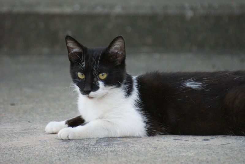 a0190211_1664489.jpg