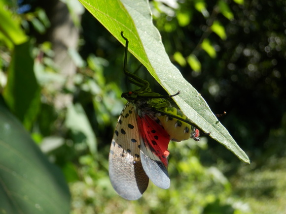 c0062511_2132168.jpg