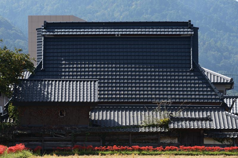 亀岡穴太周辺の曼珠沙華　其の二_f0032011_20877.jpg