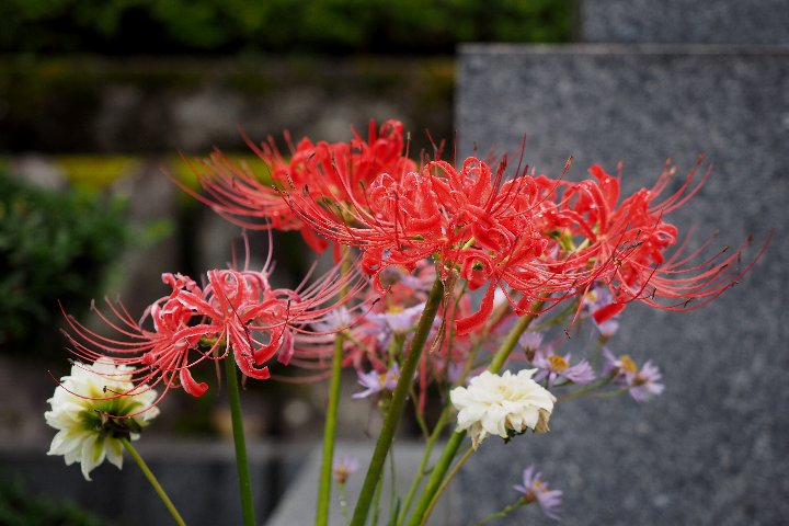 a0268412_22254446.jpg