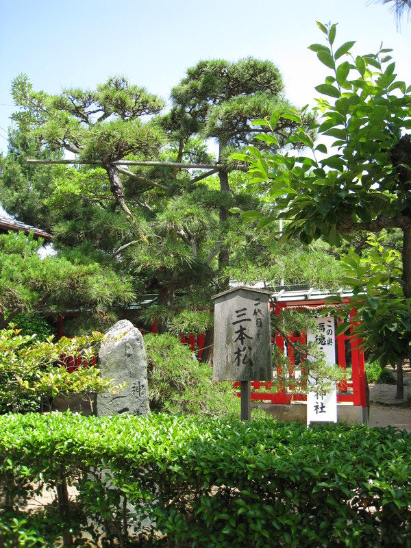 d0287413_10552055.jpg
