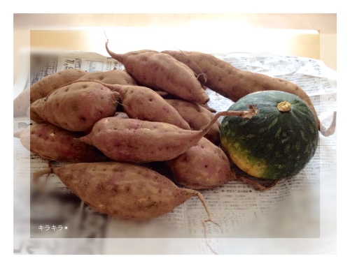 実家からの収穫物☆_f0354014_11545705.jpg