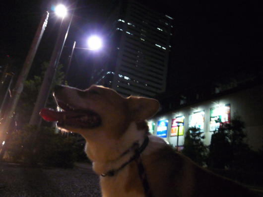 b0310424_11061331.jpg