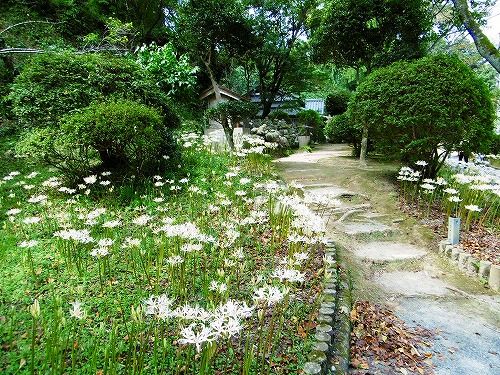 d0086228_16123648.jpg