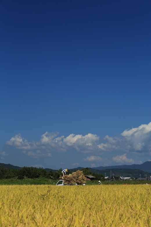 彼岸花3　亀岡風景_e0311229_1139987.jpg