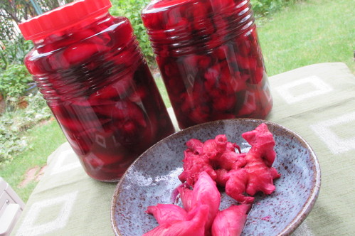 新生姜と茗荷の梅酢漬け せっこおばさんの手創り手帖