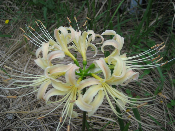 c0209334_2238283.jpg