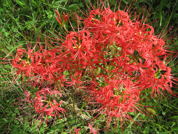 c0209334_22561438.jpg