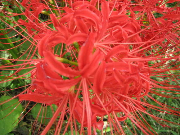 c0209334_22564247.jpg