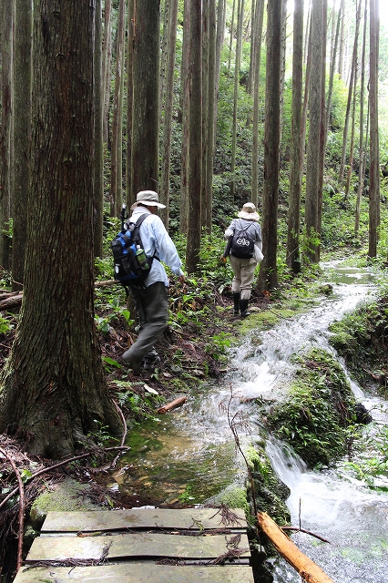 熊野古道　大門坂まで_a0135439_12182578.jpg