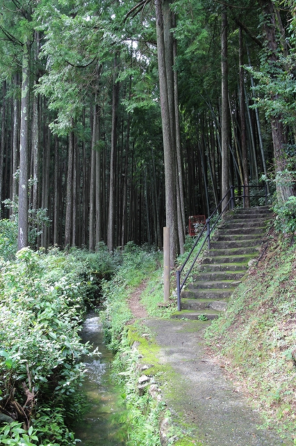 熊野古道　大門坂まで_a0135439_1218492.jpg