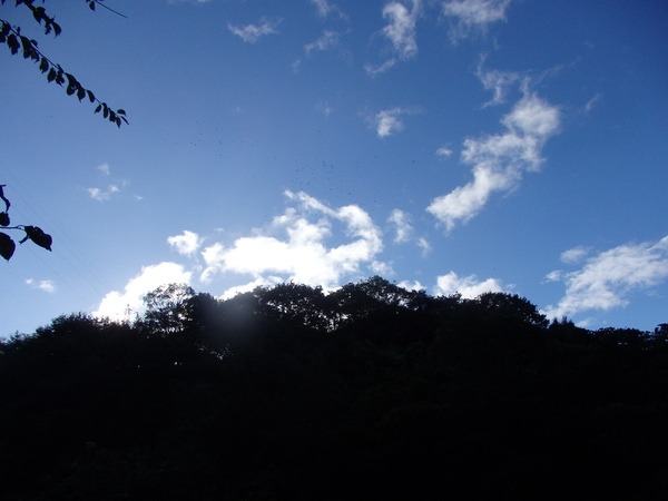 a0054240_23133731.jpg