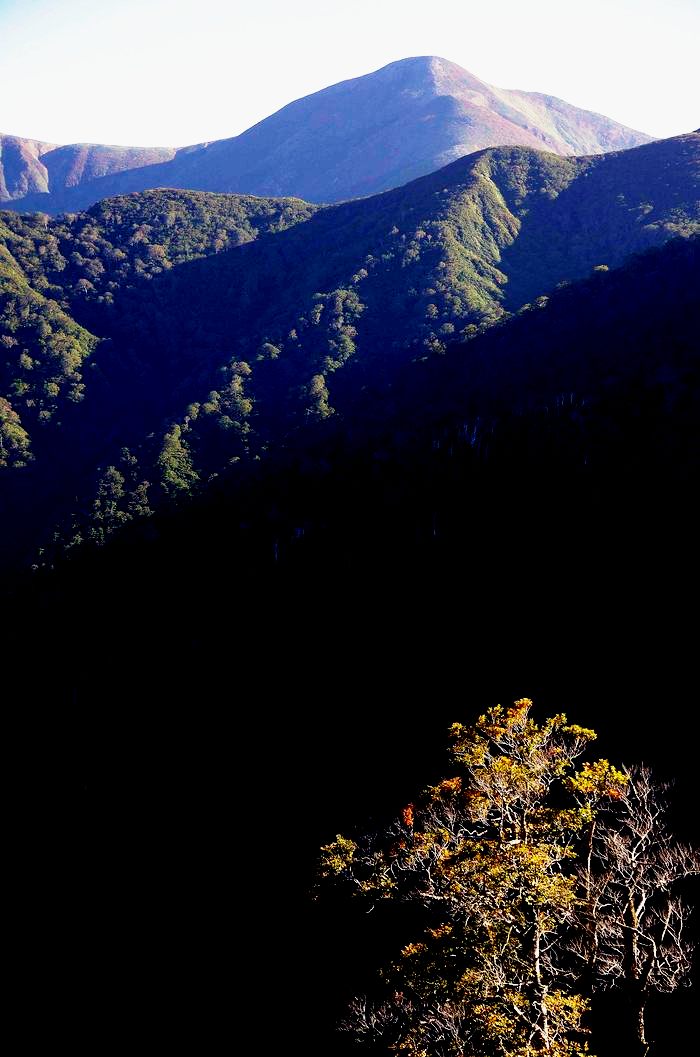 d0237340_1664935.jpg