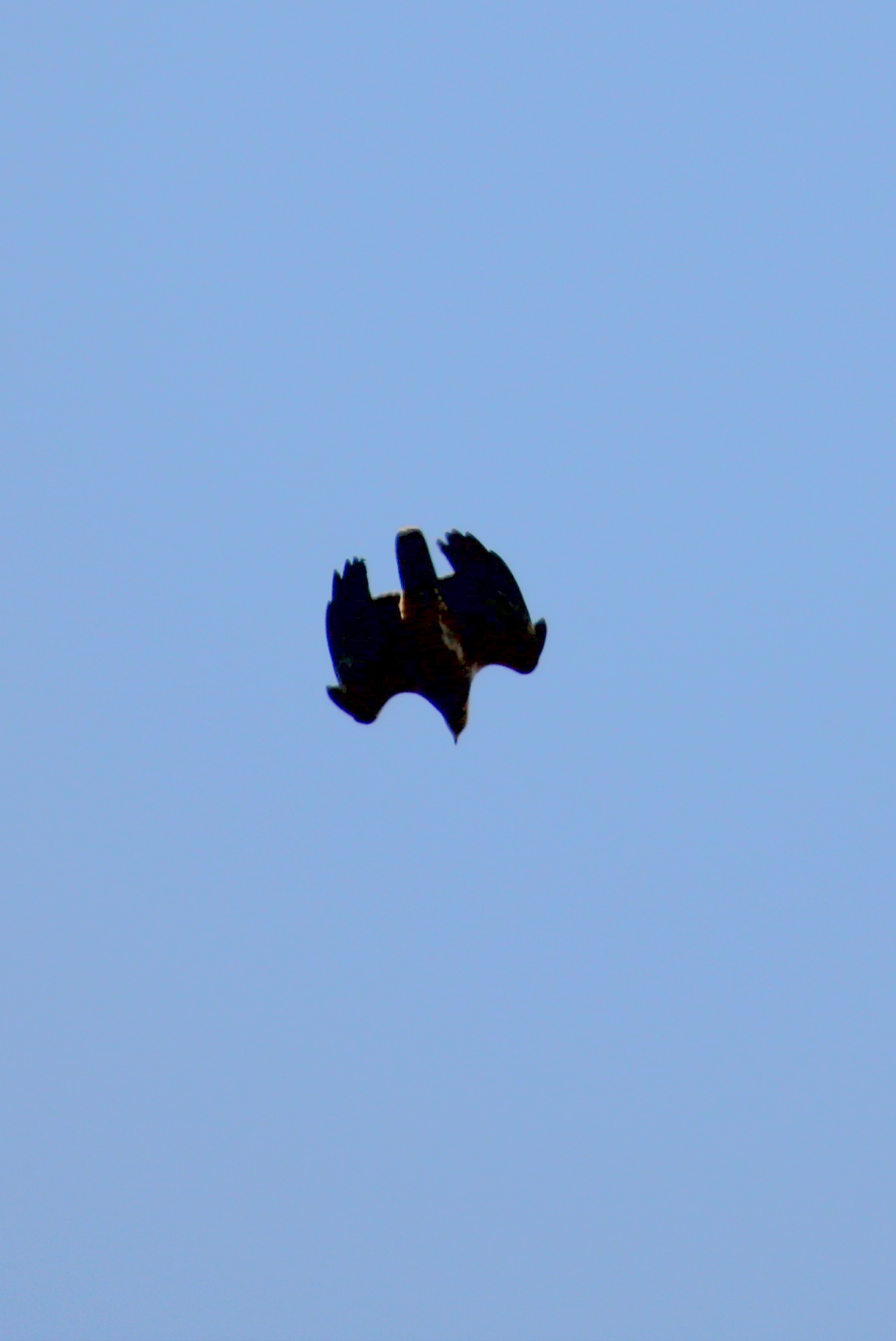 c0269342_17564340.jpg
