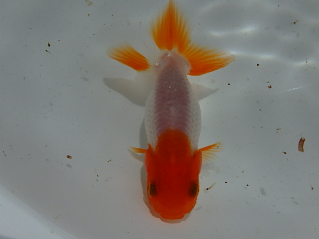 f0334143_9502680.jpg