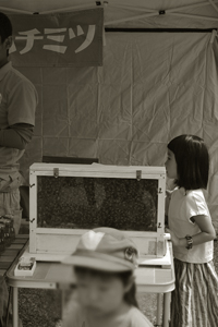 瀬戸内工芸祭2014._d0227246_13594142.jpg