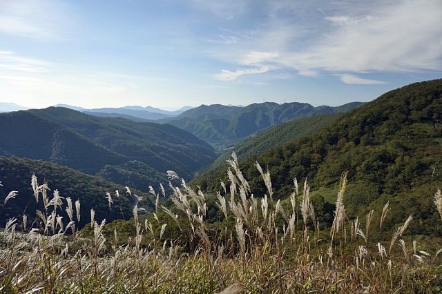 紅葉の平標山 三国峠ルート（１）_b0122448_21350009.jpg