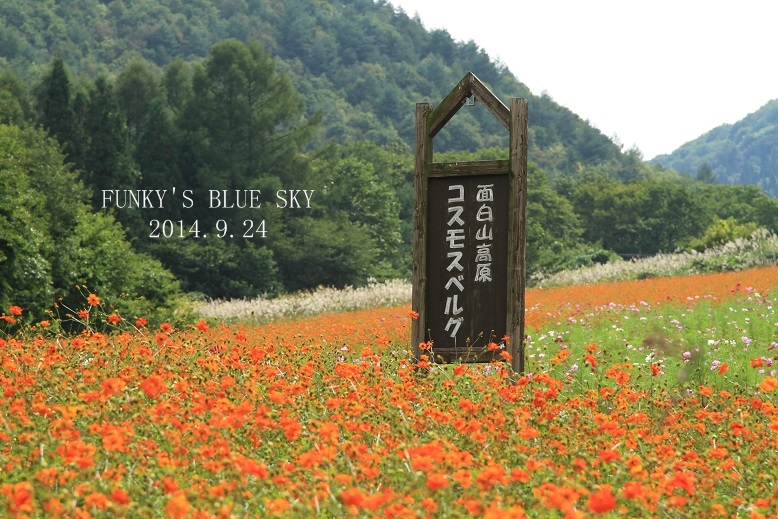 c0145250_12224546.jpg