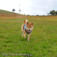 a0286855_1451124.gif