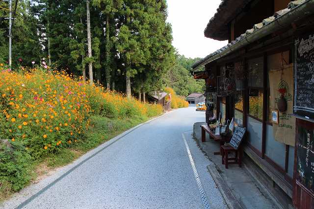 ９月２１日　吹屋ふるさと村を背景にうだうだと_f0340155_19030384.jpg