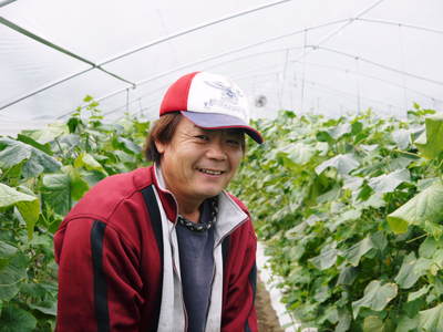 夢キュウリ 好評発売中!最初の脇芽から育った一番美味かキュウリば出すばい!!成長の過程その2_a0254656_18393960.jpg