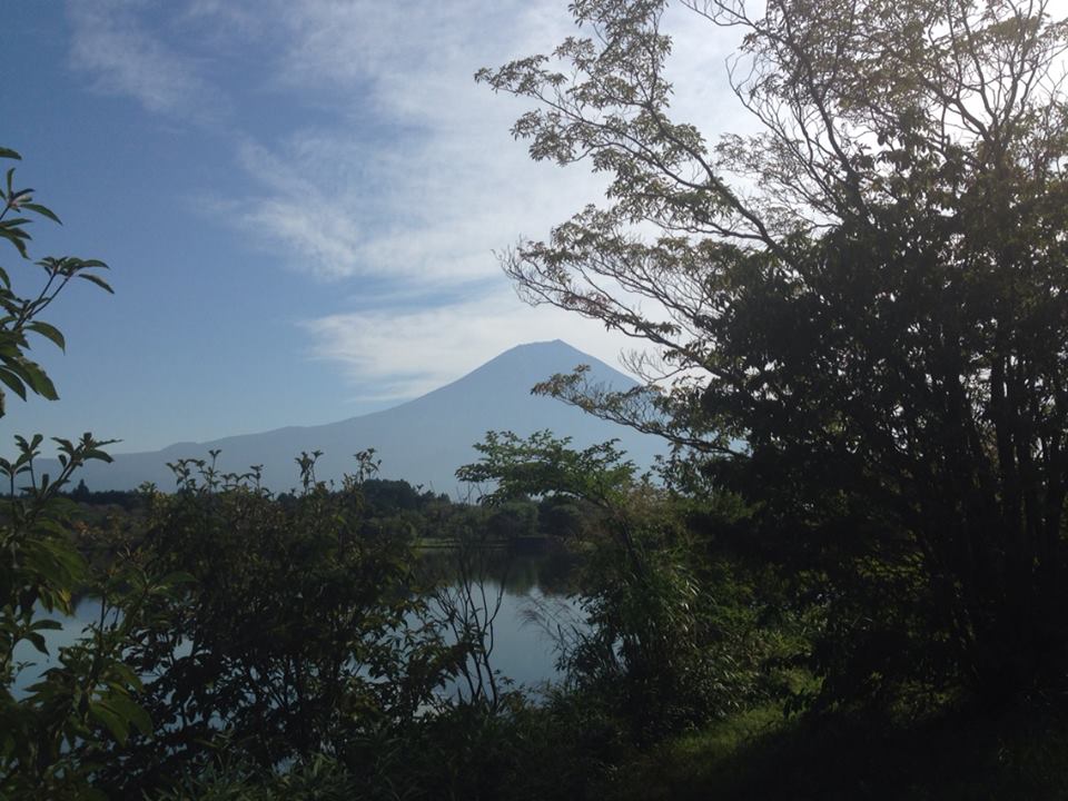 c0115560_874397.jpg