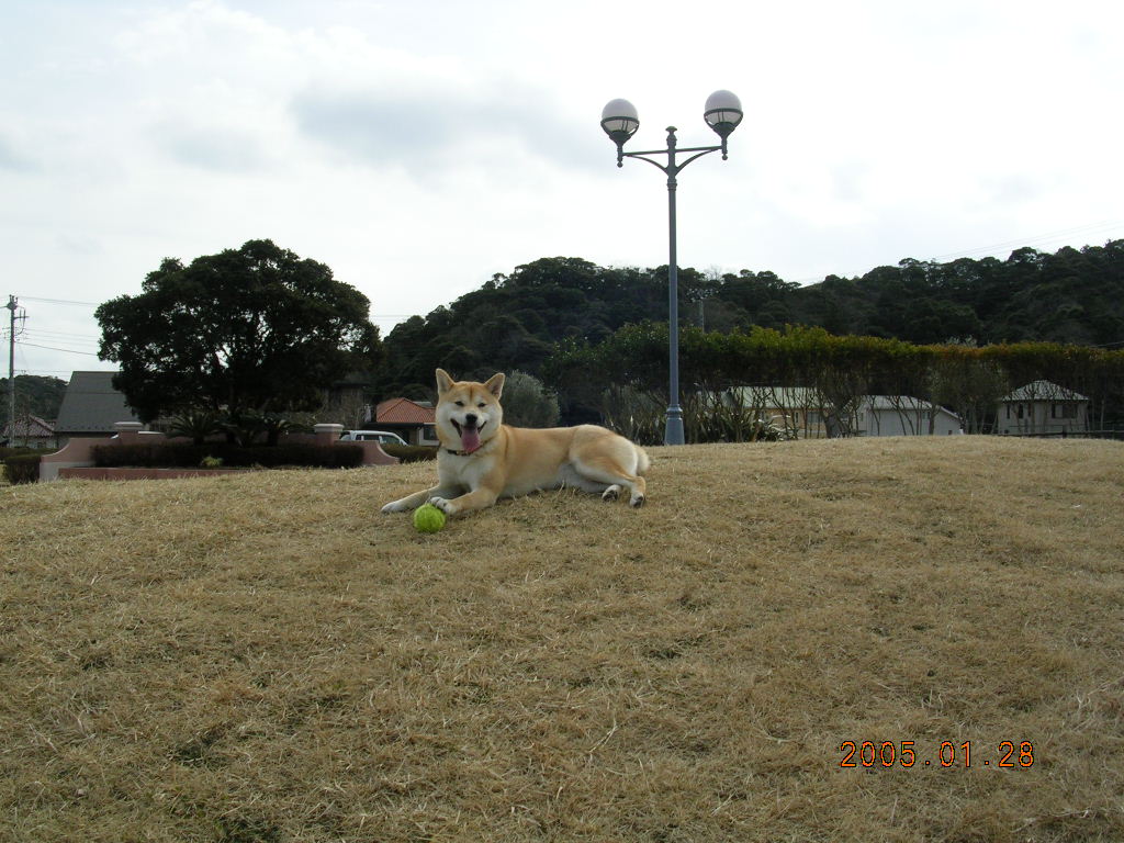 ’14,9,25(木)愛ちゃんの青春編!_f0060461_13145252.jpg