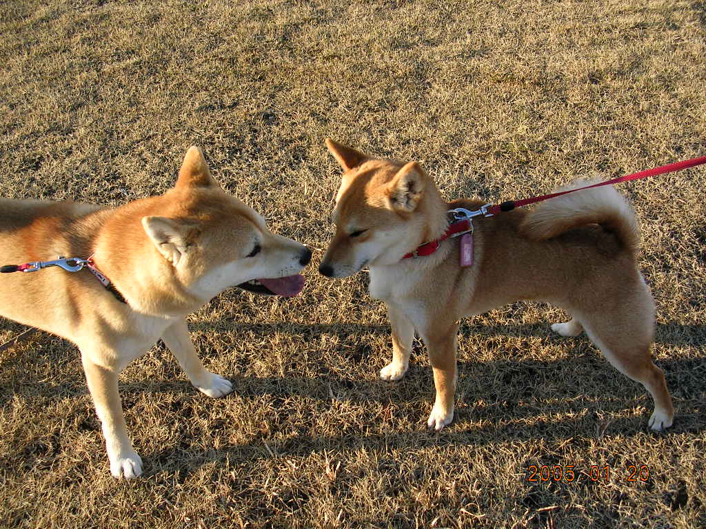 ’14,9,25(木)愛ちゃんの青春編!_f0060461_1324292.jpg